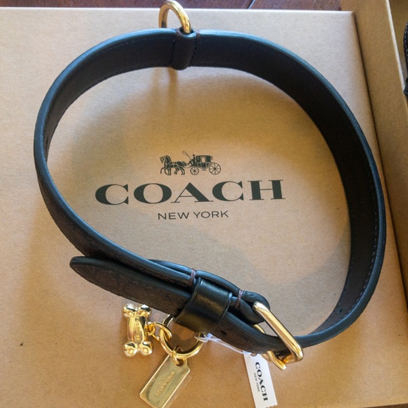 NWT 2 Piece Set: Coach Logo Dog Pet Leash + Collar - Picture 7 of 8